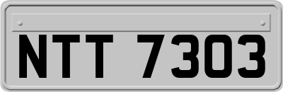 NTT7303