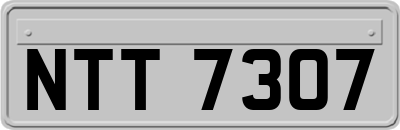 NTT7307