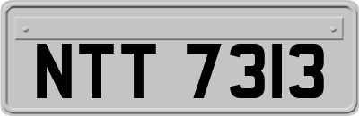 NTT7313