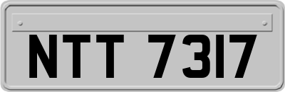 NTT7317