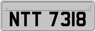 NTT7318