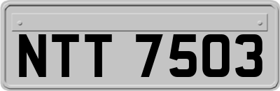 NTT7503