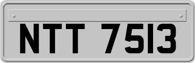 NTT7513