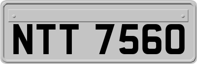 NTT7560