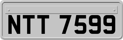 NTT7599