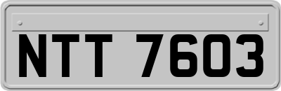 NTT7603