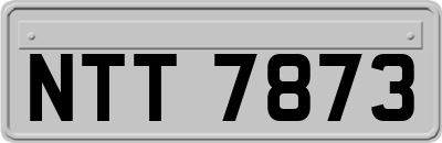 NTT7873
