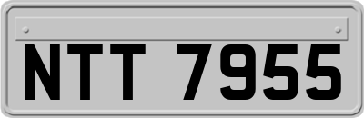 NTT7955