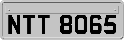 NTT8065