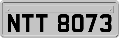 NTT8073