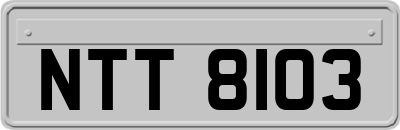 NTT8103