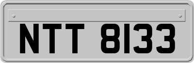 NTT8133