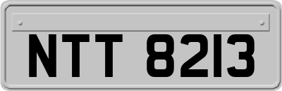 NTT8213