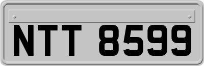 NTT8599