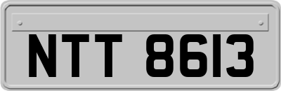 NTT8613