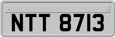 NTT8713