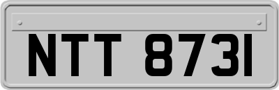 NTT8731