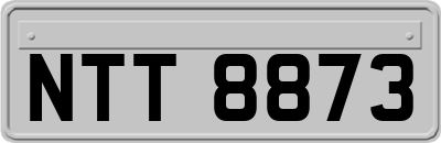NTT8873