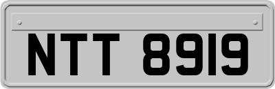 NTT8919