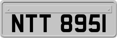 NTT8951