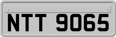 NTT9065