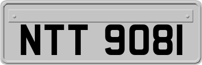 NTT9081