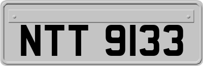 NTT9133