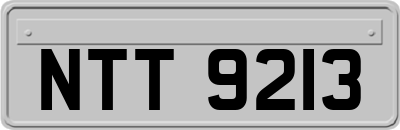 NTT9213