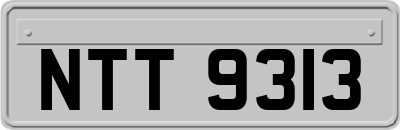 NTT9313