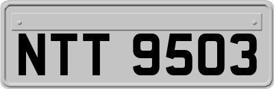 NTT9503