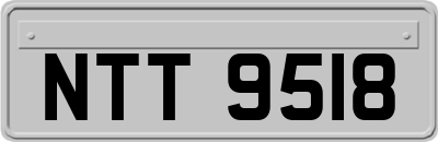 NTT9518