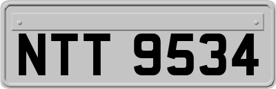 NTT9534