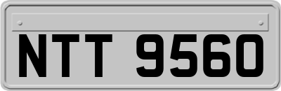 NTT9560