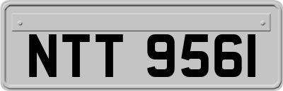 NTT9561