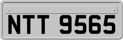 NTT9565