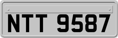 NTT9587