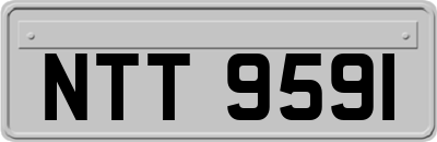 NTT9591