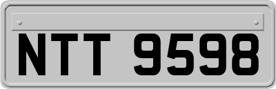 NTT9598