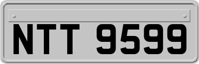 NTT9599