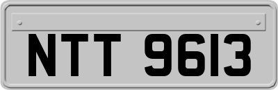 NTT9613