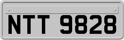 NTT9828