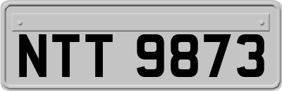 NTT9873