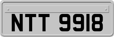 NTT9918