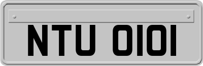 NTU0101