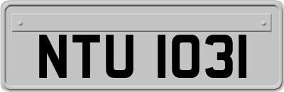 NTU1031