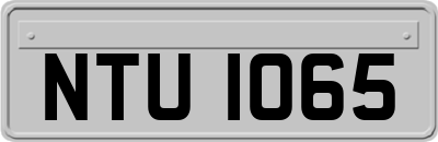 NTU1065