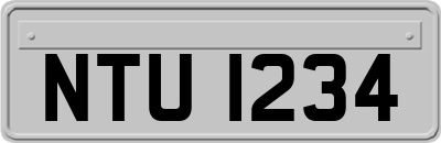 NTU1234