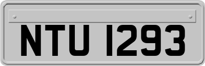 NTU1293