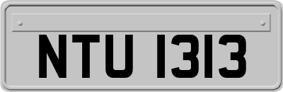 NTU1313