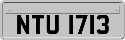 NTU1713